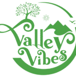 valleyvibes.online favicon